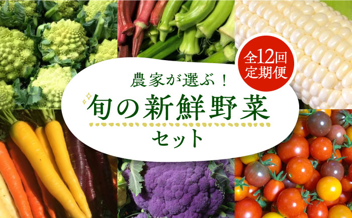 【全12回定期便】農家が選ぶ！ 旬の新鮮野菜セット《豊前市》【田村農産】産直 野菜 やさい 詰め合わせ [VBE010]