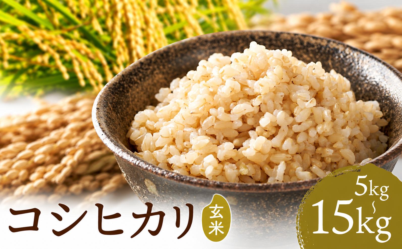 
                  R8年産 米 玄米 コシヒカリ ちばエコ認証 冷めても美味しい 産地直送 5kg 選べるお届け回数 1回 3回 米農家 森田《出荷時期をお選びください》千葉県 我孫子市 お米 ご飯 こめ お取り寄せ
                
