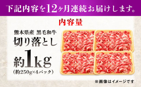 【全12回定期便】熊本県産 『原田畜産』 黒毛和牛 切り落とし 計約1kg（約250g×4パック） 牛肉 牛【有限会社 九州食肉産業】[AYCN047]