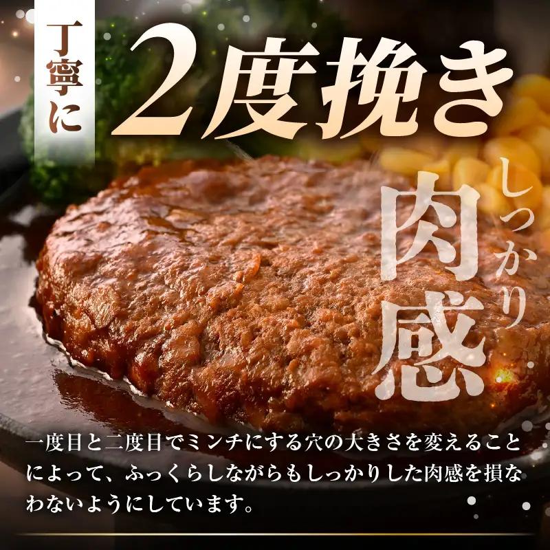 デミグラスハンバーグ 5個入り 簡単調理 ハンバーグ [A-0586]