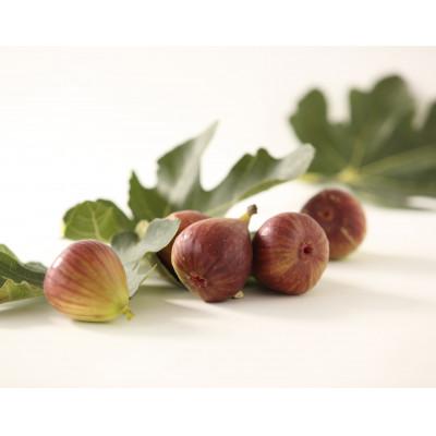 ふるさと納税 紀の川市 【産直】いちじく 和歌山県紀の川市産　約1kg 12玉入 |  | 02