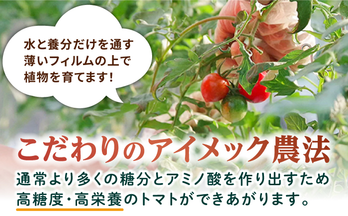 あま壱岐100％！トマトジュース 500ml×6本《壱岐市》【壱岐の潮風】とまと 100% 無添加 野菜ジュース ソフトドリンク ギフト プレゼント 飲料 贈答 冷蔵配送 41000 41000円 4