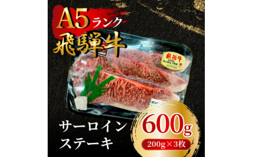 飛騨牛5等級 サーロインステーキ600g(200g×3枚)　FTA166【1576994】