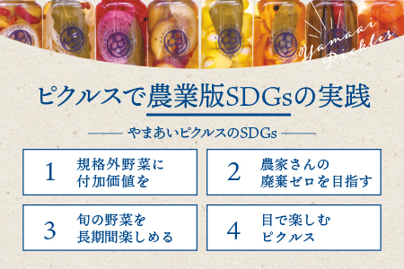 やまあいピクルス 定番和風2本＋季節１本(おまかせ)｜ピクルス ピクルス ピクルス 野菜 健康 詰め合わせ セット YP-2