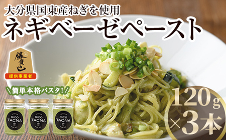 ネギベーゼ(3本) ネギ ねぎ 葱 調味料 薬味 ペースト 勝負めし 【116900100】【リーコタクナ】