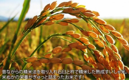 【全3回定期便】 令和5年産 [食べ比べ] 熟成すいしゃ米 佐賀県産 15kg(さがびより 夢しずく ヒノヒカリ )【一粒】[NAO022] 米 お米 すいしゃ米 水車米 令和5年産米  令和5年度産