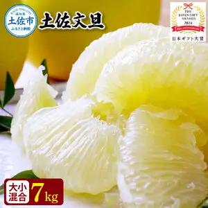 【先行予約】園主こだわりの土佐文旦 約7kg 大小混合（4L?Mサイズ） 高知県土佐市 【やの一果彩】 [BQAC014]