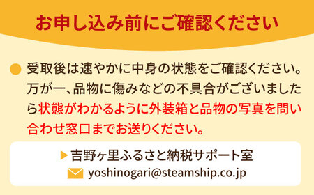【16品 / 12回定期便】「よしのがり野菜」セット（ラージ）吉野ヶ里町/吉野ヶ里あいちゃん農園 減農薬 有機肥料 1年間 [FAA010]