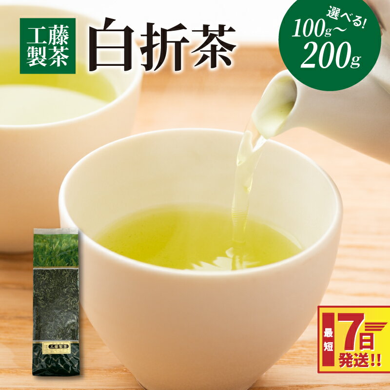 【ふるさと納税】工藤製茶 白折茶 - お茶っぱ 茶葉 リーフタイプ お茶の葉 1袋100g 1袋/2袋 国産 緑茶 常温保存 急須で スピード配送便 7日以内に発送 雁が音 かりがね 茎茶 くきちゃ くき茶 送料無料 【宮崎県木城町】