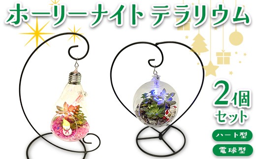 ホーリーナイトテラリウム2個セット（ハート型、電球型） ※2025年12月中旬～12月下旬頃に順次発送予定