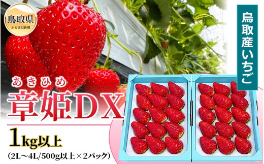 鳥取産いちご　章姫　あきひめ　DX　1㎏以上　甘くて大きく美味しい　とみハウス【期間･数量限定】_T2600528
