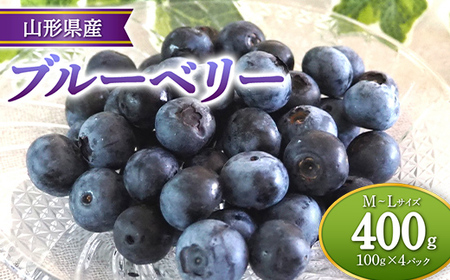 【先行予約 令和8年度発送】山形県産 ブルーベリー 100g×4パック M～Lサイズ FSY-2401
