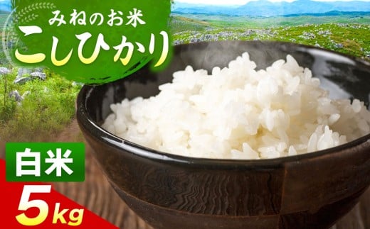 令和7年度産 こしひかり 白米 5kg｜ 白米  米 雑穀 お米 コメ 単一米 こしひかり コシヒカリ   山口 美祢 秋吉台