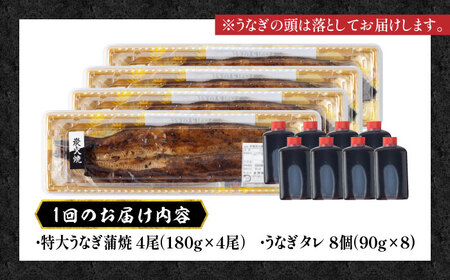 【3回定期便】国産 本格炭火焼 特大 うなぎ 蒲焼 4尾（180g×4尾）/炭火焼古賀[UDH044]
