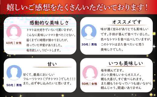 フルーツトマト「太陽のめぐみ」1kg（フルティカ＆ティポ） ALPBI002