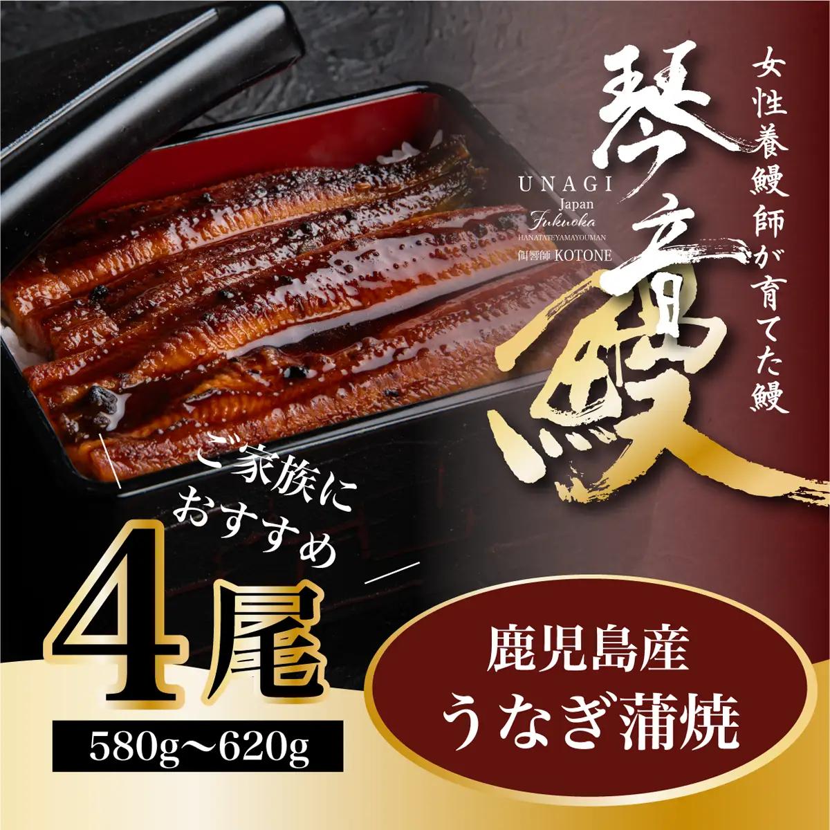 国産 うなぎ 蒲焼き（鹿児島県産） 4尾 (580〜620g) 【国産100％ 鰻 ウナギ 蒲焼 土用丑の日 丑の日 冷凍 魚介 海鮮 おかず お祝い ご褒美 贅沢 おすすめ 人気 花立山養鰻 福岡県