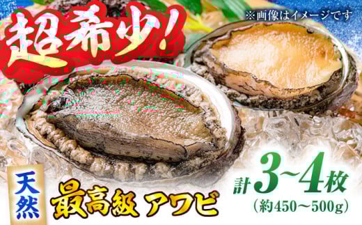 【鮑】活きたままの高級あわび！瀬戸内海産天然活きアワビ3から4枚セット 愛媛県大洲市/天然活魚 濱屋 [AGBP007] 先行予約 おいしい アワビ あわび 鮑 新鮮 魚介類 瀬戸内 魚介類  魚介類