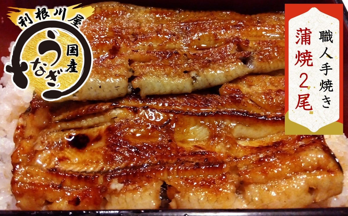 
            国産うなぎ 蒲焼 2尾セット 老舗《利根川屋》の職人手焼き｜鰻 ウナギ うなぎ たれ付 蒲焼き かばやき うな重 うな丼 ひつまぶし 日本料理 和食 簡単調理 土用丑 茨城県 稲敷市 霞ヶ浦 [0585]
          