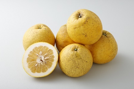 先行予約 河内晩柑 ジューシーオレンジ 約4.5kg 【髙橋果樹園】【2026年4月上旬から2026年6月下旬順次発送予定】晩柑 熊本県 宇城市 宇城市産河内晩柑 熊本県産河内晩柑 国産河内晩柑 