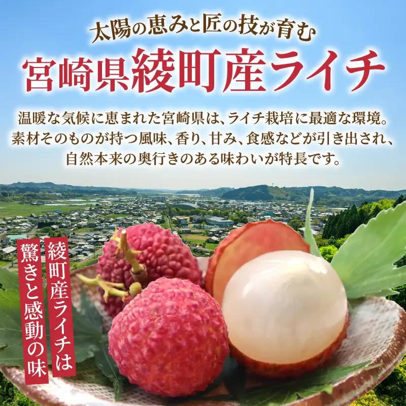 先行予約 数量限定 希少 綾生ライチ お裾分け セット 600g 果物 フルーツ くだもの 国産ライチ 2027年 トロピカルフルーツ 南国フルーツ 冷蔵 ジューシー 高級 デザート ギフト 贈り物 