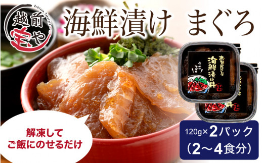 海鮮漬け マグロ 120g×2パック（2～4食分） [A-088014] / 漬け丼 海鮮漬け 丼 海鮮具 海鮮 刺身漬け 惣菜 一人暮らし マグロ まぐろ 鮪 漬け 越前宝や たからや商店