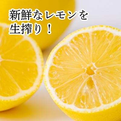 ふるさと納税 高原町 使い方色々国産レモンの手搾り果汁1L(業務用) TF790 |  | 01