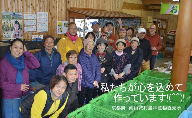 【産地直送】宇治茶の名産地で育てたほうじ茶1kg（500ｇ×2） お茶 飲料 飲み物 ドリンク 上質なお茶