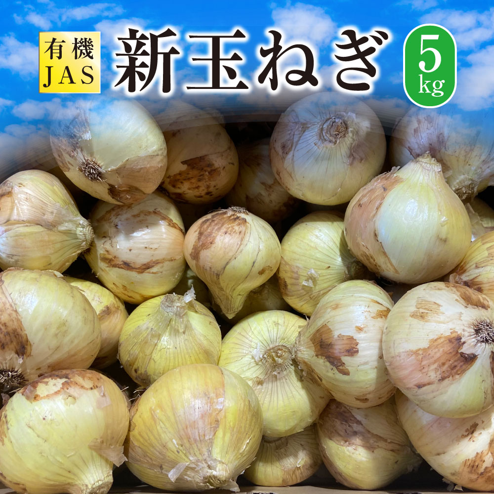 【ふるさと納税】【先行受付】有機JAS 新玉ねぎ 5kg 野菜 やさい たまねぎ 玉ねぎ 玉葱 熊本県 上天草市 送料無料 【2026年3月上旬から4月上旬発送予定】