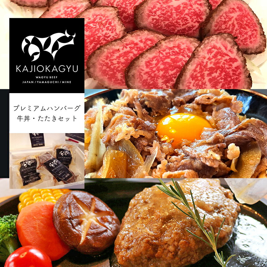 【ふるさと納税】 梶岡牛 【 プレミアムハンバーグ ・ 牛丼 ・ たたき 】セット ｜ 黒毛和牛 ブラウンスライス 牛 うし　牛肉 お肉 肉 セット ハンバーグ 牛丼 たたき ハンバーグ お取り寄せ グルメ 冷凍 特産品 山口 美祢 美祢市