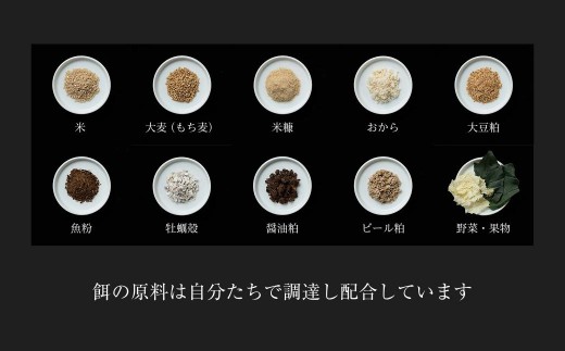 【全6回定期便】平飼い有精卵 60個《西粟倉村》【株式会社点々】t-SS-CpDA