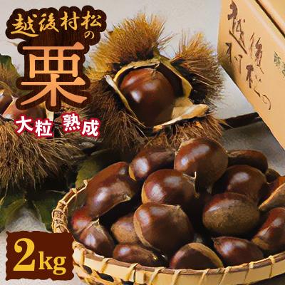 ふるさと納税 五泉市 <11月中旬発送>越後村松の栗2kg