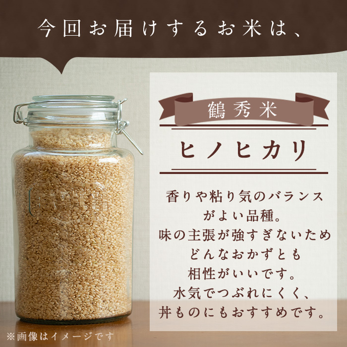 i224 ＜数量限定！新米＞ 令和7年産 鶴秀米 ヒノヒカリ 玄米 (5kg×2袋・10kg) 米 お米 10kg 国産 ヒノヒカリ 新米 おにぎり ごはん 【GOOD TIME】