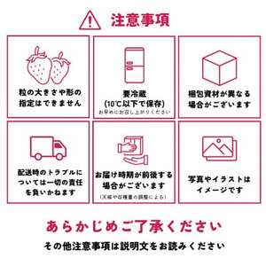 【先行予約】福岡県産あまおう 約270g×4パック【配送不可地域：離島】【1177858】