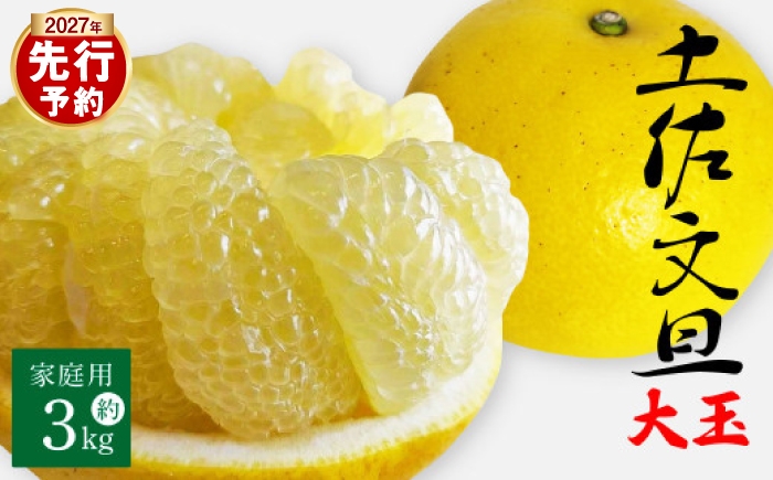 
                  【先行予約】土佐文旦 大玉 家庭用 約3kg（2L～4Lサイズ混合：5玉～9玉） 数量限定 文旦 ぶんたん ブンタン 3キロ 柑橘 フルーツ 果物 ご当地 お取り寄せ 土佐 高知＜2027年1月中旬～順次発送＞【玉木農園】 [BQAJ003]
                