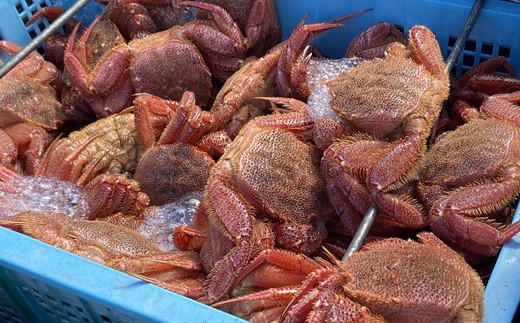 北海道オホーツク海産 訳あり　浜ゆで毛ガニ　2kg（冷凍）