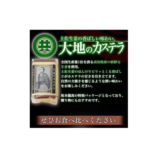 【 カステラ 】 カステラ3本セット