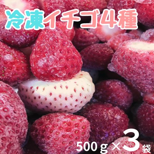 110006　冷凍いちご4種　500ｇ×3袋