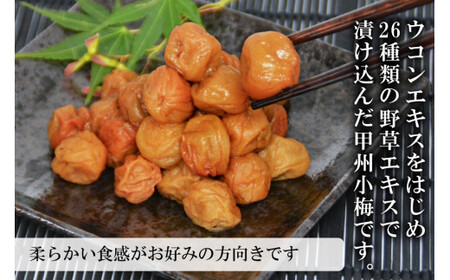 【やわらか】信玄の薬膳小梅干 600g×1  梅干し 国産