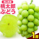 【ふるさと納税】岡山県産桃太郎ぶどう（1房680g以上）1房入り　令和7年産先行受付 《9月上旬-10月中旬頃出荷》【配送不可地域あり】