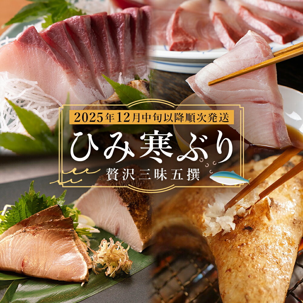 【ふるさと納税】【先行予約】 ひみ寒ぶり贅沢三昧五撰【2025年12月中旬以降順次発送】 鰤 ブリ 詰め合わせ 冷凍 魚介 富山県 氷見市