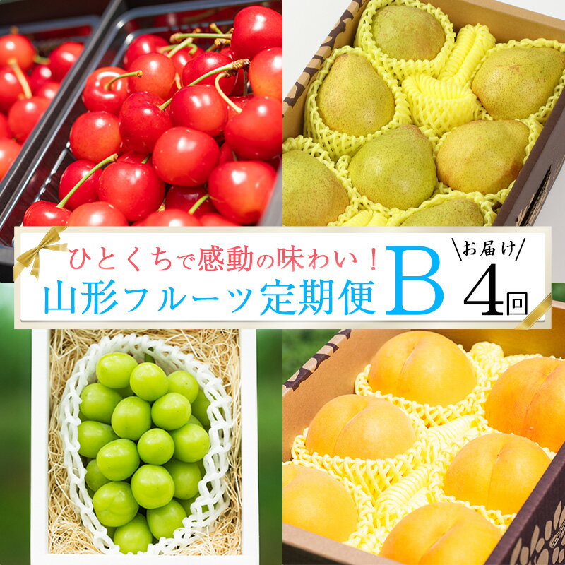 【ふるさと納税】特秀品 Bコース【定期便4回】【減農薬栽培】フルーツ定期便 さくらんぼ 紅秀峰 黄桃 シャインマスカット 洋梨 ラネージュ 令和7年産 【2025年6月中旬頃から発送開始予定】 ／ お取り寄せ ご当地 特産 名物 果物 人気 東北 山形