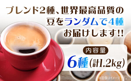 【何が届くかお楽しみ！】コーヒー福袋【粉】寄附額4万円相当 珈琲 ドリップ エスプレッソ ラテ 広島 江田島市/Coffee Roast Sereno[XBE076]