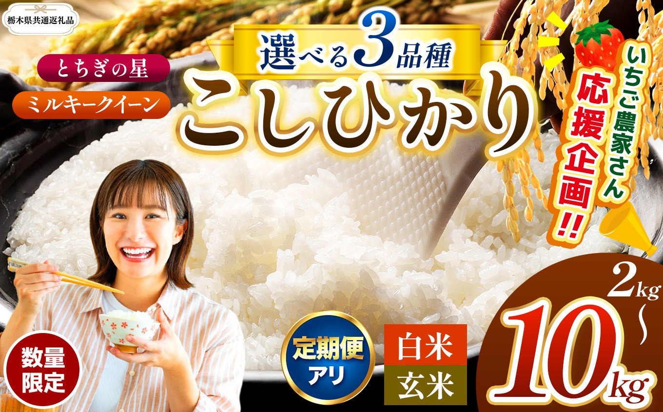
                  【ふるさと納税】 新米 米 訳あり 定期便 限定 選べる 玄米 白米 先行予約 2kg 4kg 5kg 10kg 栃木県共通返礼品 コシヒカリ こしひかり とちぎの星  ミルキークイーン 密閉パック  | 米 こめ コメ ごはん いちご お米 kome okome  栃木県 那珂川町 送料無料
                