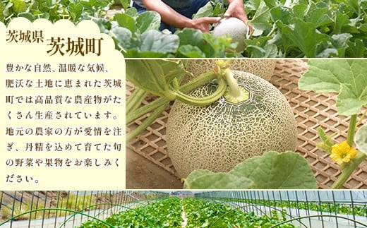 177茨城県JA水戸産アールスメロン【秀品】（2玉）【2024年8月下旬頃より発送予定】