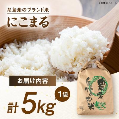 ふるさと納税 糸島市 【スピード発送】令和7年産 にこまる 玄米品質1等米 白米 5kg 糸島市産[AGR001] |  | 03