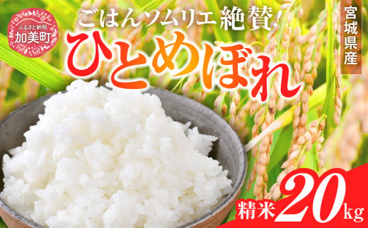 新米 精米 令和6年産 宮城県産ひとめぼれ 20kg [菅原商店 宮城県 加美町 ]  | sg00001-r6-20kg