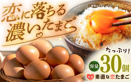 卵 たまご 特選素直な恋たまご 30個 [JAP0016]