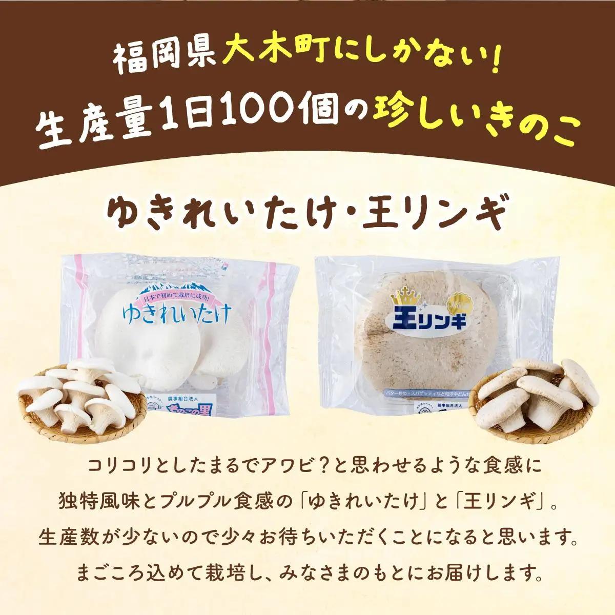 珍しいきのこ2種×3パックセット(ゆきれいたけ3パック・王リンギ3パック)　AT14