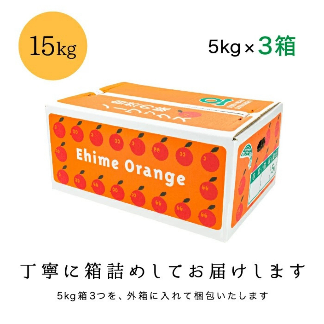 【糖度14.0以上酸1.4以下】糖酸選別品 愛媛産 訳あり不知火(しらぬひ)15kg【G20-96】【配送不可地域：離島】【1625364】 YWTI091