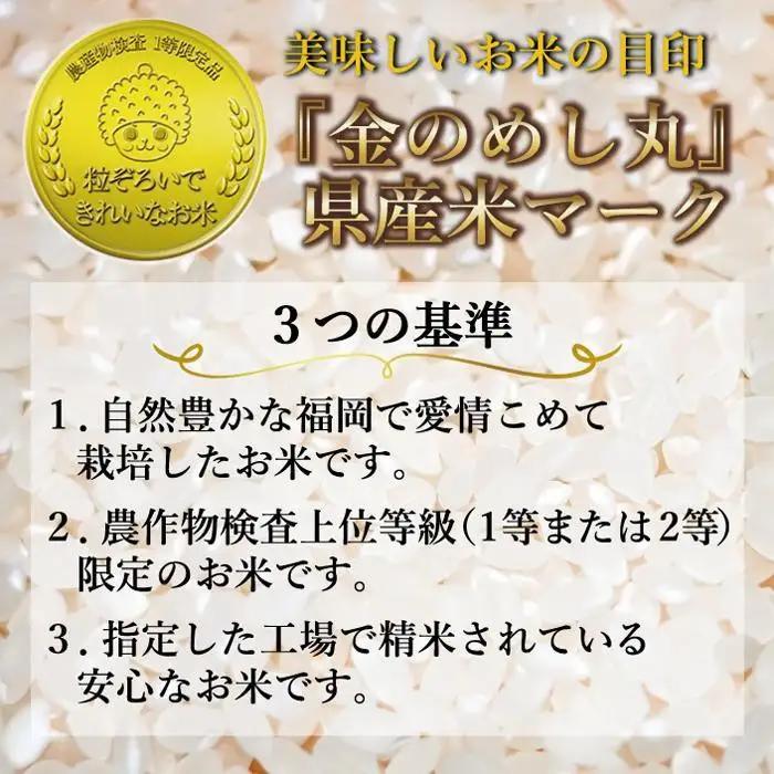 ＜全3回 定期便＞新米 無洗米 令和8年産 夢つくし 5kg 福岡県